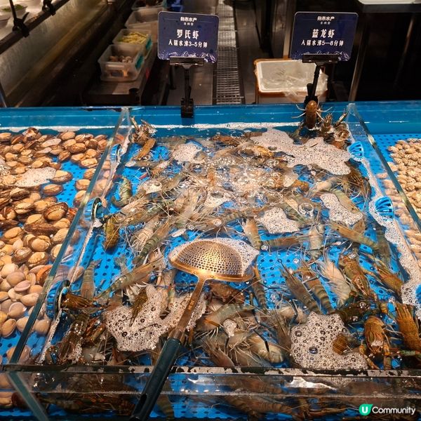 ✨2026復活節好去處👍遊深圳觀瀾吃活海鮮烤榴槤自助餐