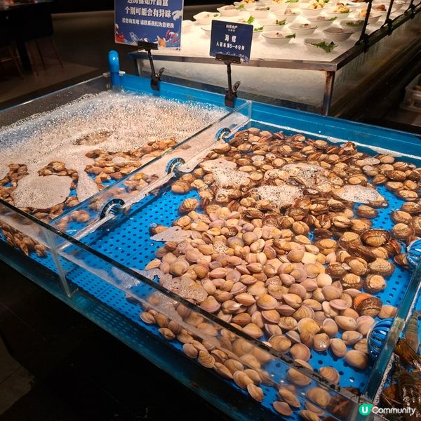 ✨2026復活節好去處👍遊深圳觀瀾吃活海鮮烤榴槤自助餐