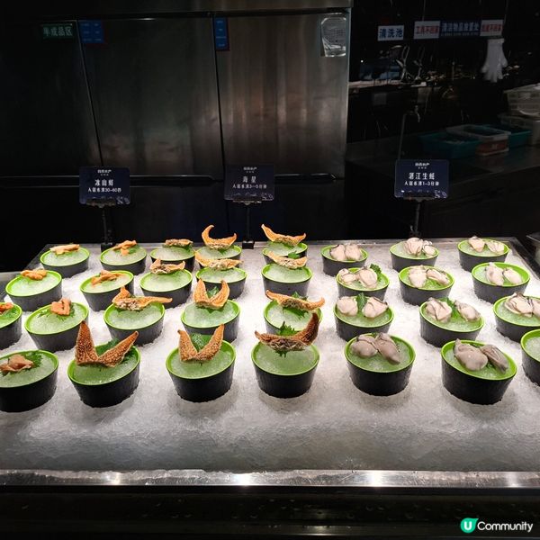 ✨2026復活節好去處👍遊深圳觀瀾吃活海鮮烤榴槤自助餐