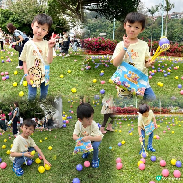 黃金海岸草地尋蛋大戰！🐣