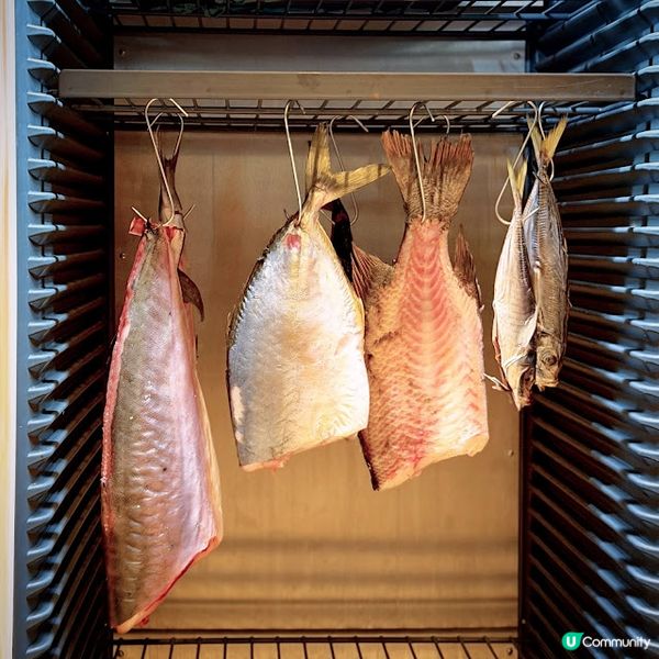 飲飽食醉之夜@昼月Day Moon