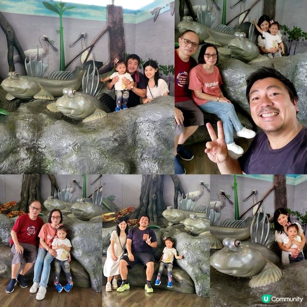 復活節假期鉅獻 <<濕地尋🪺記>>