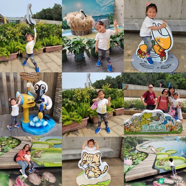 復活節假期鉅獻 <<濕地尋🪺記>>