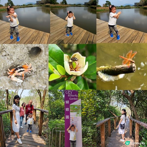 復活節假期鉅獻 <<濕地尋🪺記>>