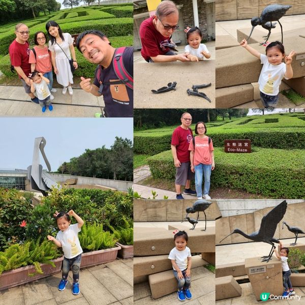 復活節假期鉅獻 <<濕地尋🪺記>>