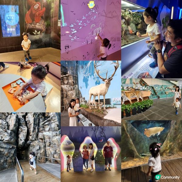 復活節假期鉅獻 <<濕地尋🪺記>>