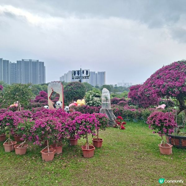 惠洲度假打卡好去處分享🥳千花洲生態園💯千花洲旅遊度假區