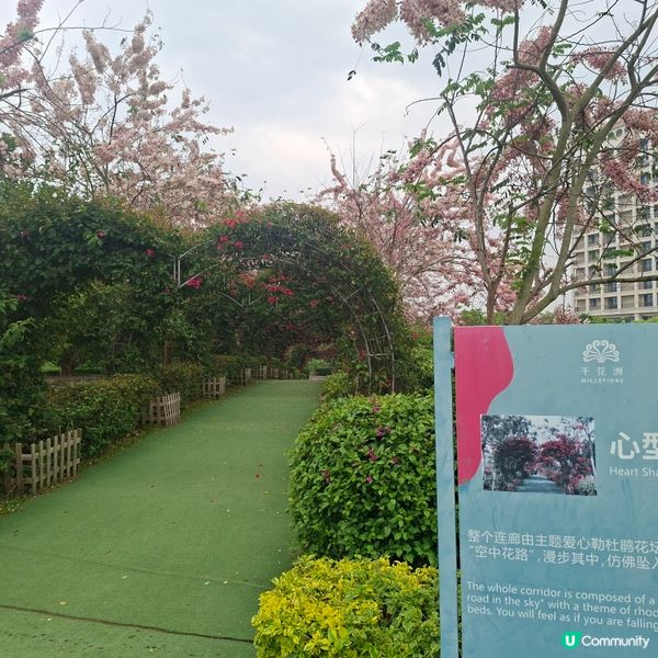 惠洲度假打卡好去處分享🥳千花洲生態園💯千花洲旅遊度假區