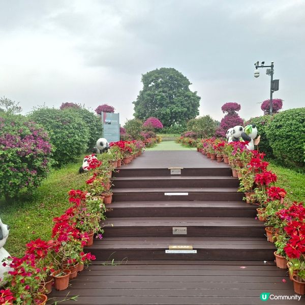 惠洲度假打卡好去處分享🥳千花洲生態園💯千花洲旅遊度假區