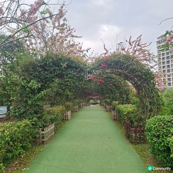 惠洲度假打卡好去處分享🥳千花洲生態園💯千花洲旅遊度假區