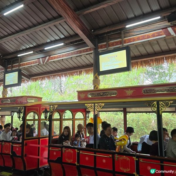 清遠長隆森林王國🐒🐴🐆🦓🦬🐘🦒