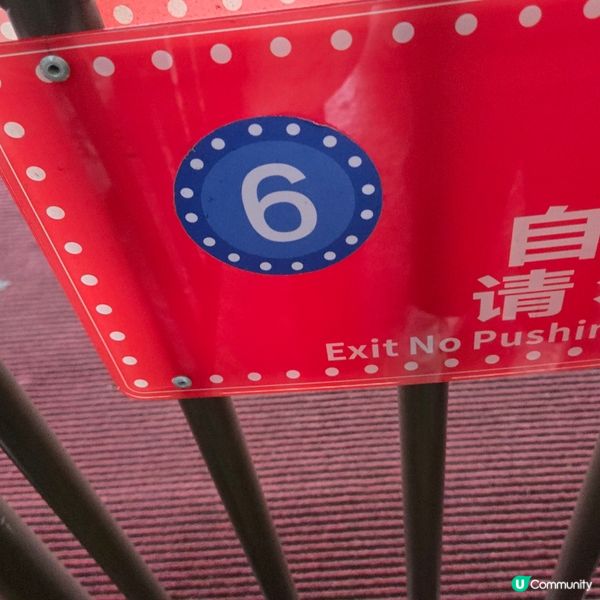 清遠長隆森林王國🐒🐴🐆🦓🦬🐘🦒