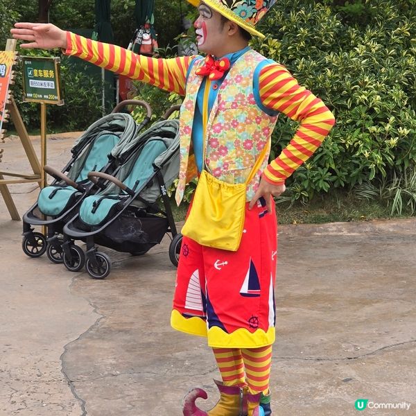 清遠長隆森林王國🐒🐴🐆🦓🦬🐘🦒