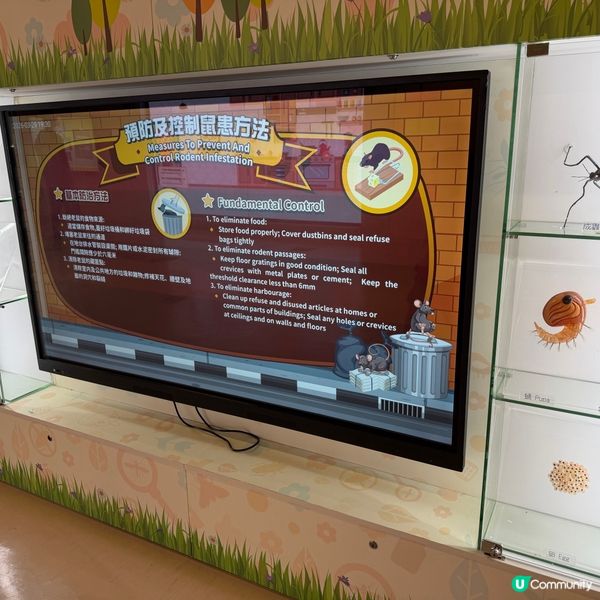 九龍公園隱世寶藏！👦🏻🧒🏻親子免費好去處！