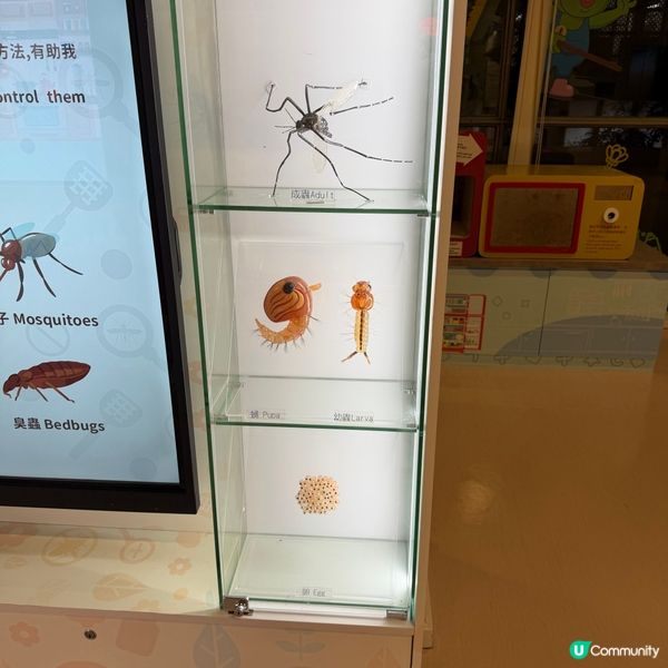 九龍公園隱世寶藏！👦🏻🧒🏻親子免費好去處！