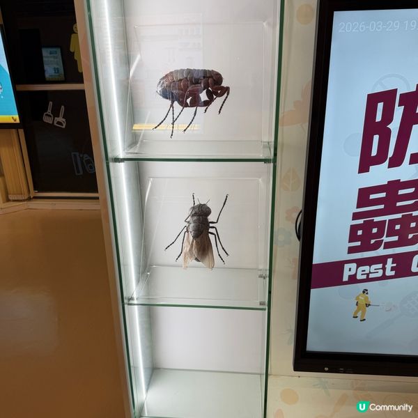 九龍公園隱世寶藏！👦🏻🧒🏻親子免費好去處！