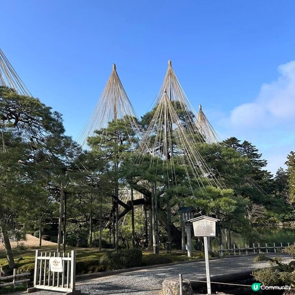 兼六園四季美！🌸🍁☃️✨