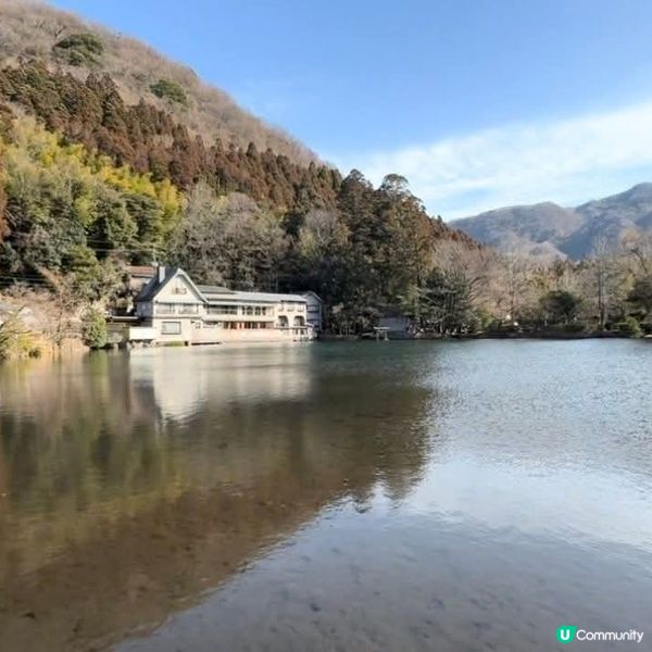 湯布院🍄治癒藝術之旅 | 🇯🇵