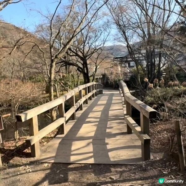 湯布院🍄治癒藝術之旅 | 🇯🇵