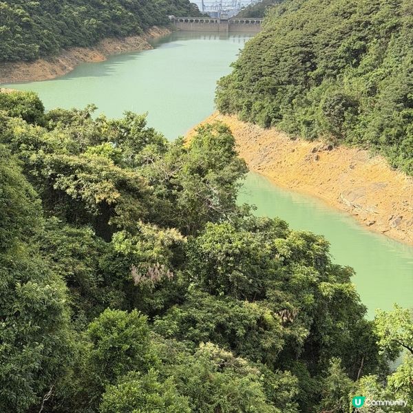 周末馬騮山歷險记 🐒🌲