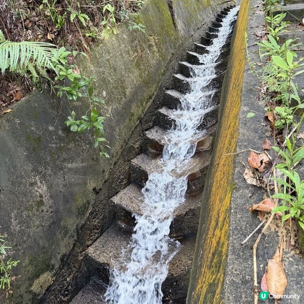 周末馬騮山歷險记 🐒🌲