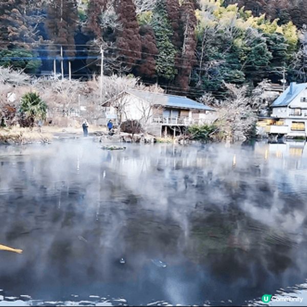 日本九州的由布院有四季不同的美麗風景，夢幻的童話小鎮超多打卡...