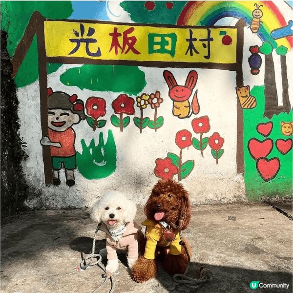 以上地點在荃灣光板田村(港版彩虹眷村)🌈地點雖然地方細細，但...