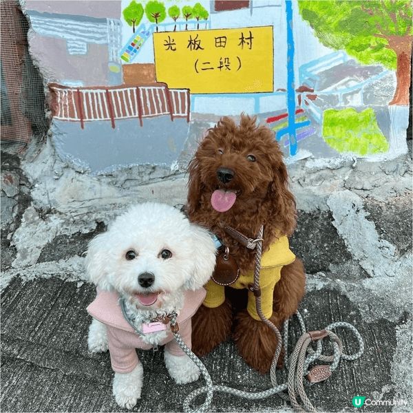以上地點在荃灣光板田村(港版彩虹眷村)🌈地點雖然地方細細，但...