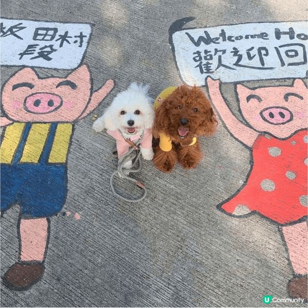 以上地點在荃灣光板田村(港版彩虹眷村)🌈地點雖然地方細細，但...