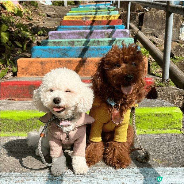 以上地點在荃灣光板田村(港版彩虹眷村)🌈地點雖然地方細細，但...