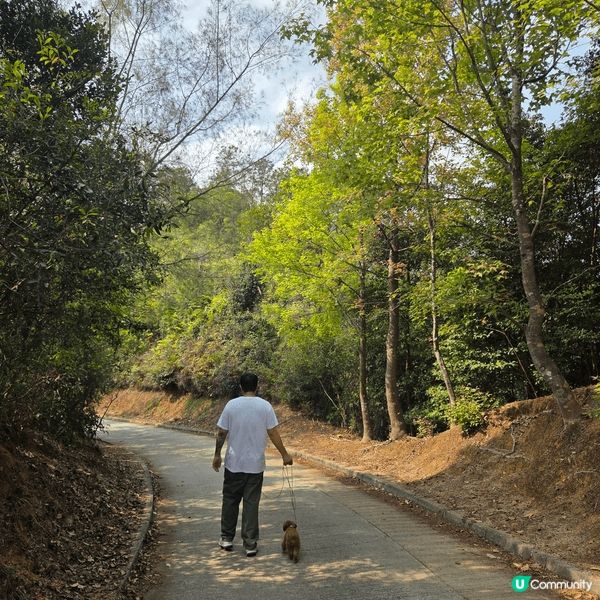 我地一家鍾意周圍去，因為想去relax同叉電 ，平時會較多去...