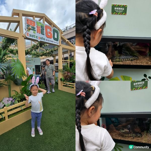 Easter Fun 🐰🍦🕹