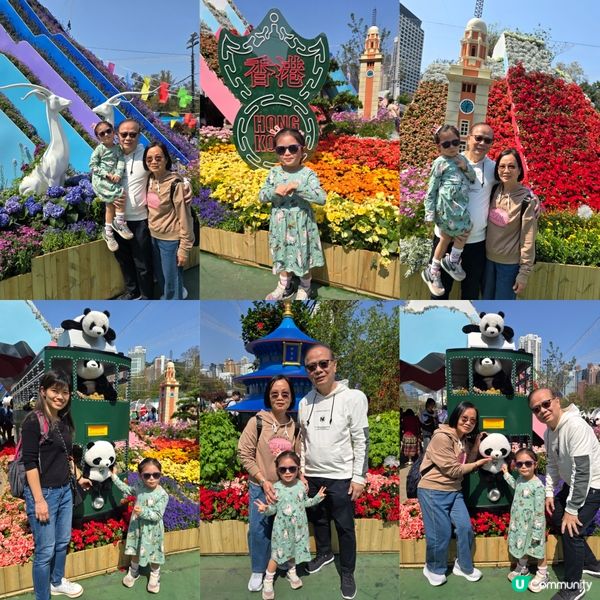 香港花卉展 🌺🏵⚘️