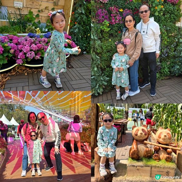 香港花卉展 🌺🏵⚘️