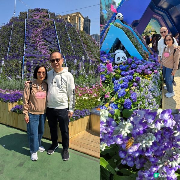 香港花卉展 🌺🏵⚘️