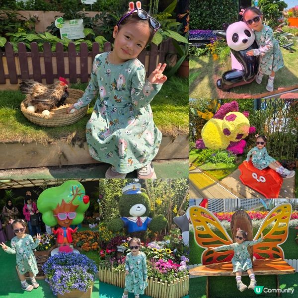 香港花卉展 🌺🏵⚘️