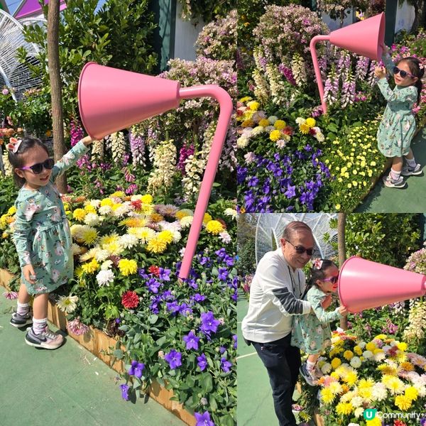 香港花卉展 🌺🏵⚘️