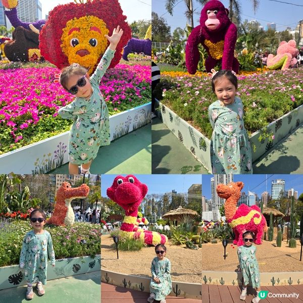 香港花卉展 🌺🏵⚘️