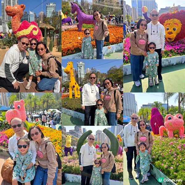 香港花卉展 🌺🏵⚘️