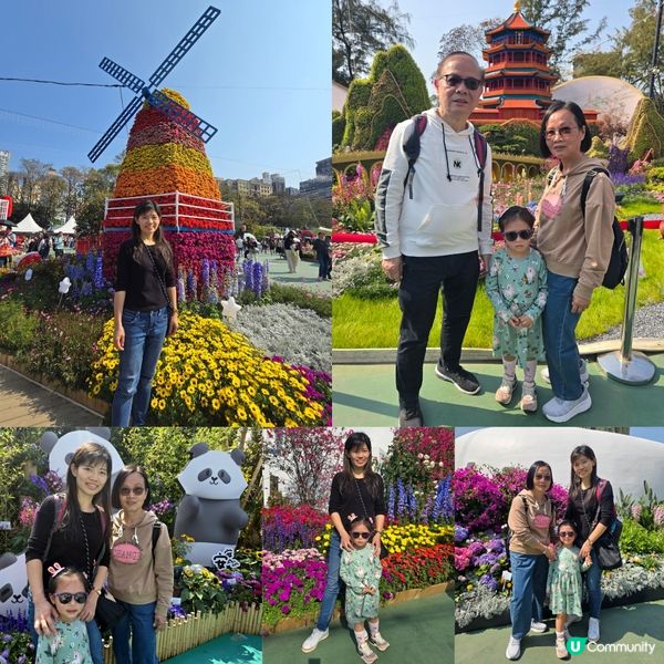 香港花卉展 🌺🏵⚘️