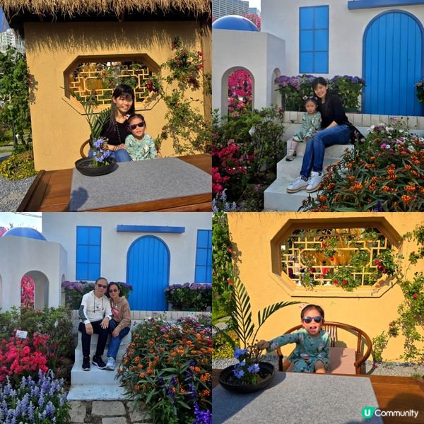 香港花卉展 🌺🏵⚘️