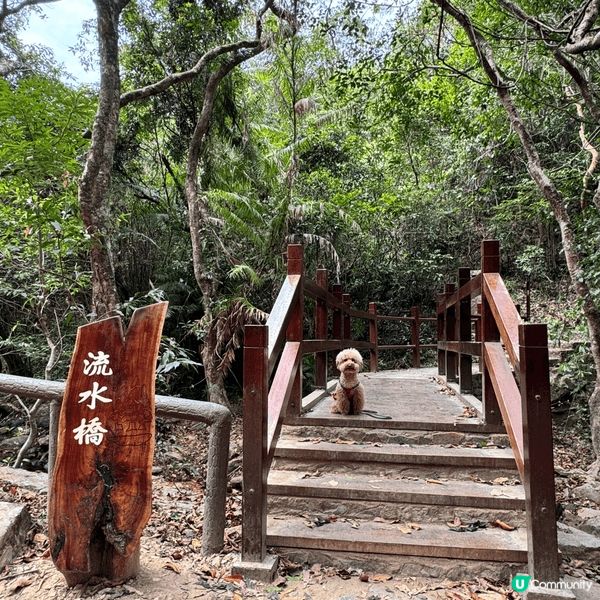 圖1、2是粉嶺流水響，空氣清新！風景如畫！