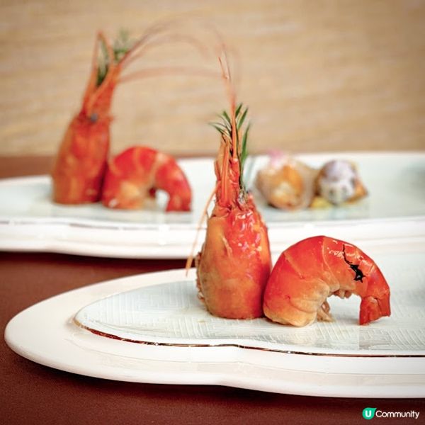 滋味聚會@聚星居