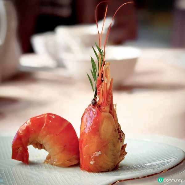 滋味聚會@聚星居