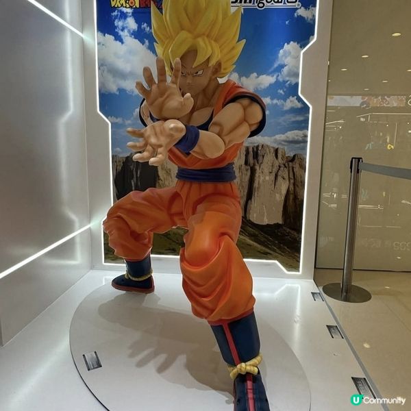 動漫迷天堂！免費入場！🤩🤩