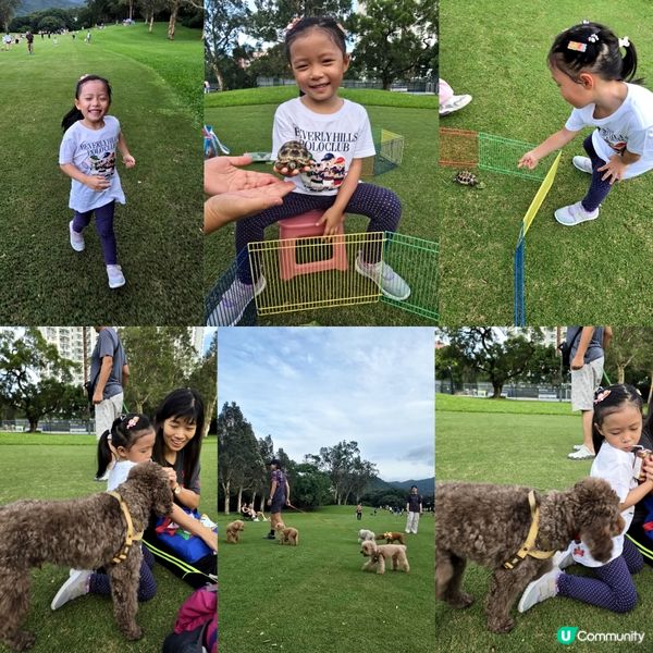 手球同樂日 🤾🏻‍♀️