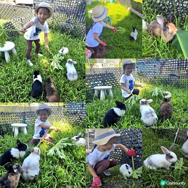  小農夫體驗 👩🏻‍🌾