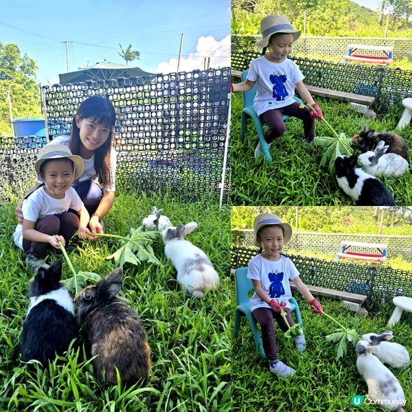  小農夫體驗 👩🏻‍🌾