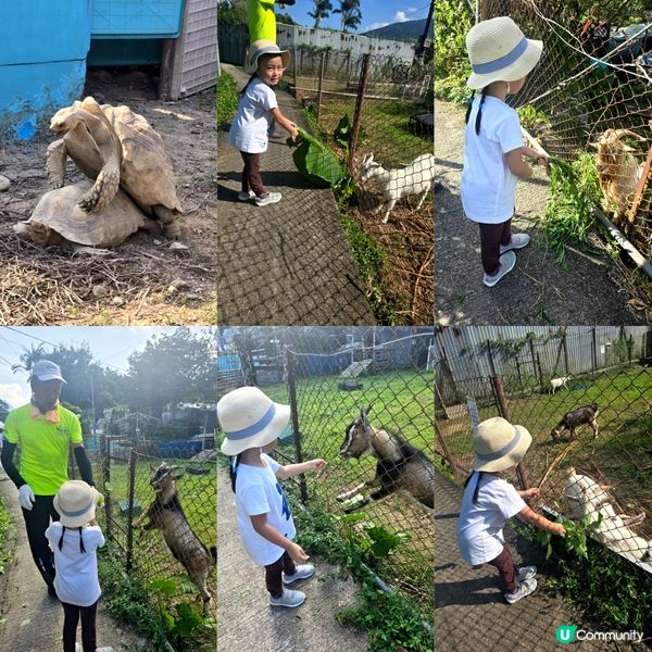  小農夫體驗 👩🏻‍🌾