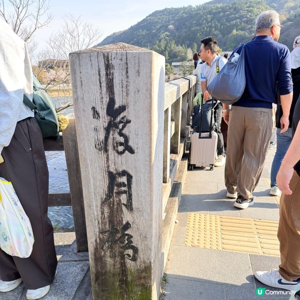 嵐山渡月橋🌸🌳🏞️絕美 Kyoto 必打卡!
